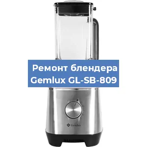 Замена подшипника на блендере Gemlux GL-SB-809 в Перми